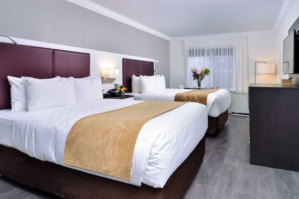 The Saint James Hotel, Ascend Hotel Collection Toronto Zewnętrze zdjęcie